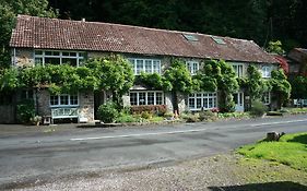 The Bark House