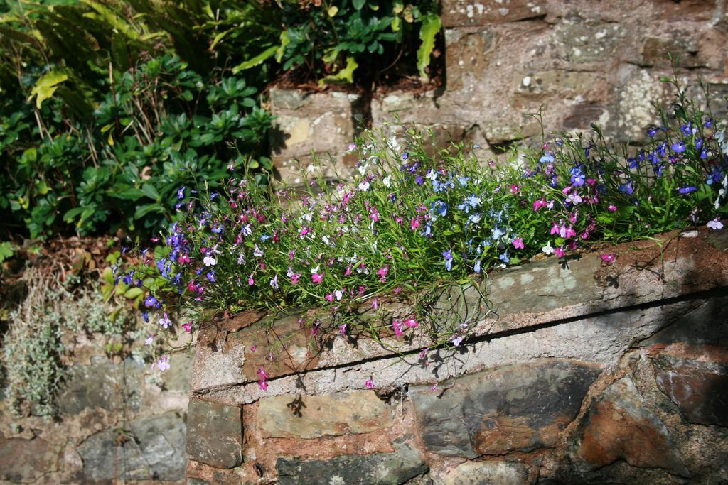 The Bark House Tiverton (Devon) Exterior photo