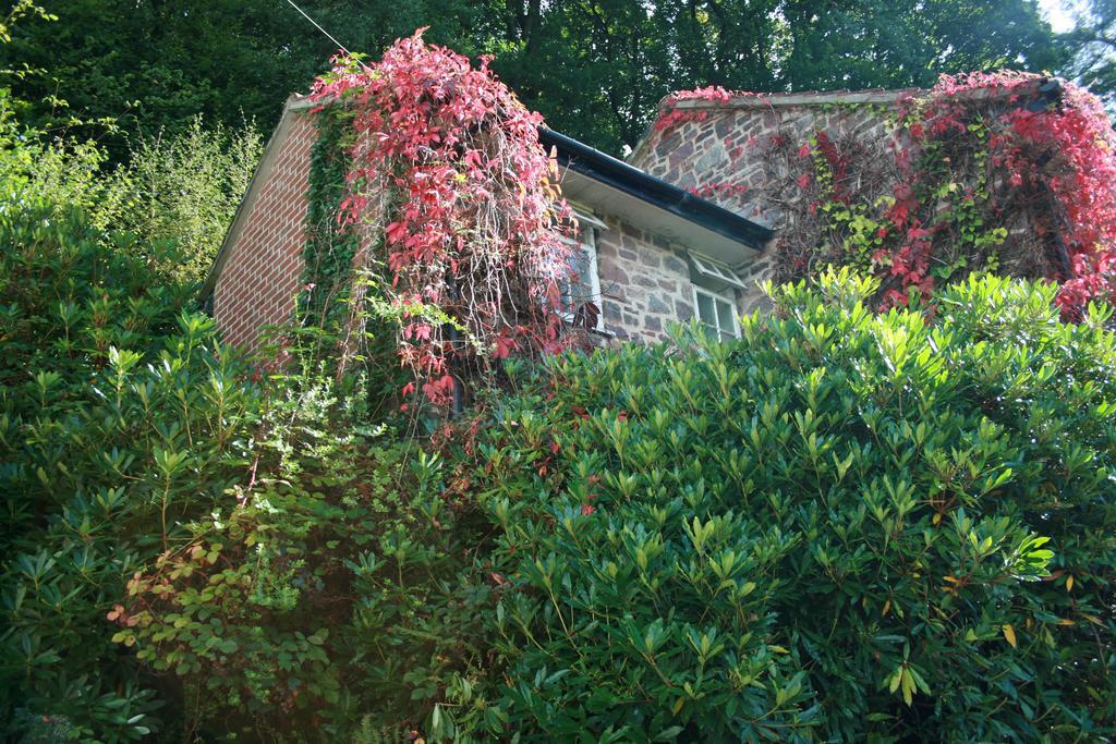 The Bark House Tiverton (Devon) Exterior photo
