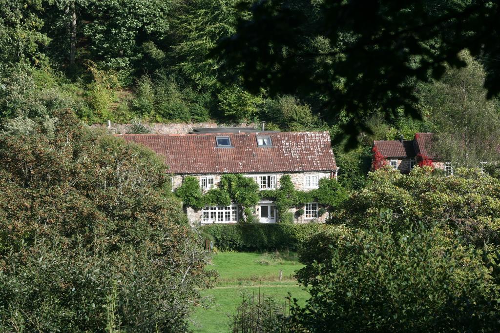 The Bark House Tiverton (Devon) Exterior photo